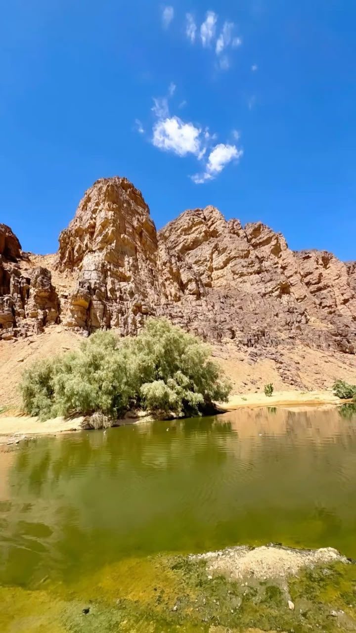 Rocky peaks above a green desert pool near Djanet