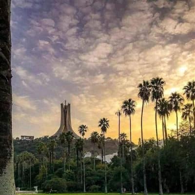 The Martyrs' Memorial above the palms of the Jardin d'Essai at sunset