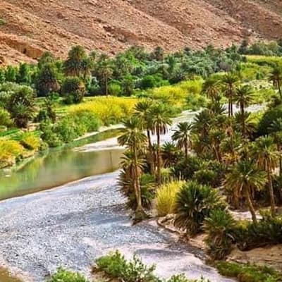 A stream winding through palm gardens below desert slopes near Bou Saâda