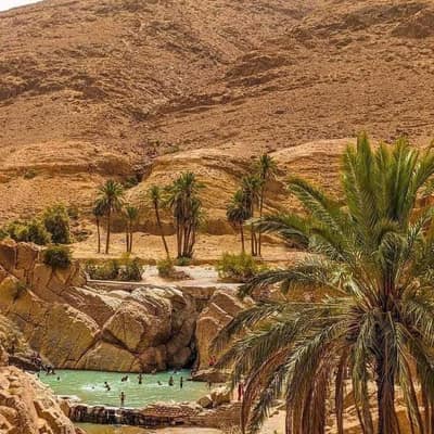 A turquoise pool in the rocky gorge at Bou Saâda, ringed by date palms below bare hills