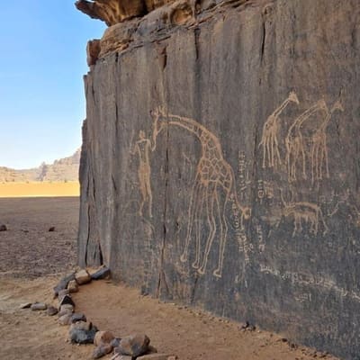Engravings of giraffes on a dark cliff face in the desert near Djanet