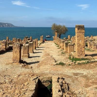 Stone ruins and an olive tree on the shore at the archaeological park of Tipaza