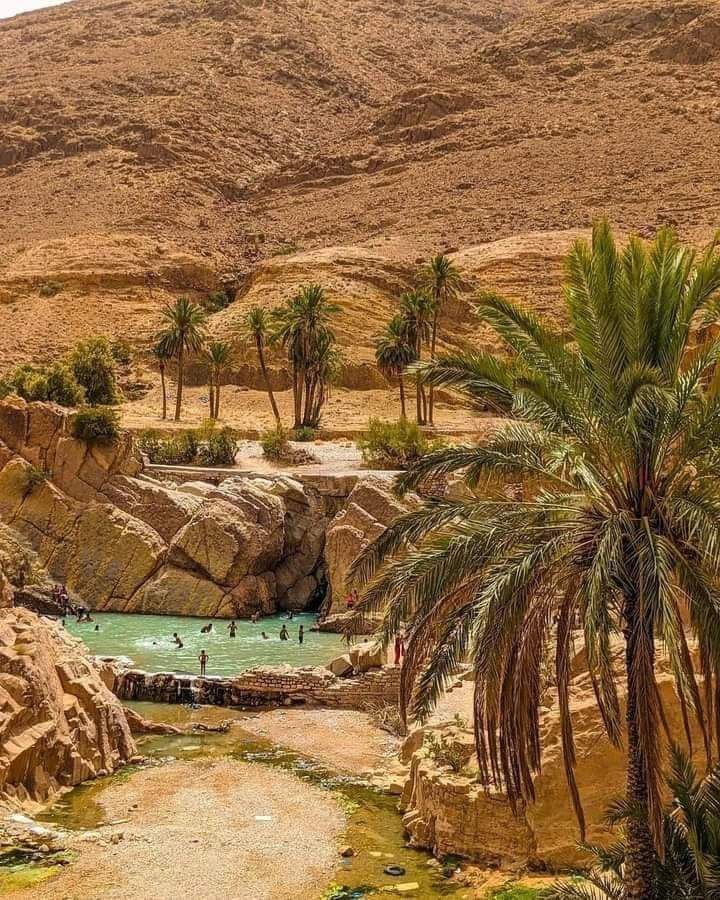 A turquoise pool in the rocky gorge at Bou Saâda, ringed by date palms below bare hills