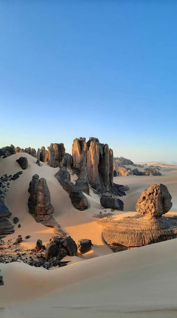 Weathered sandstone towers standing out of pale sand in the Tadrart, near Djanet