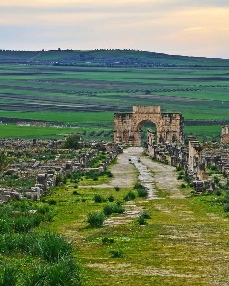 The triumphal Arch of Caracalla at the end of a Roman street in Djémila, green fields beyond